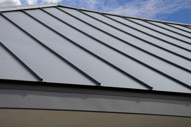 Best Asphalt Shingles Roofing  in Bushnell, FL